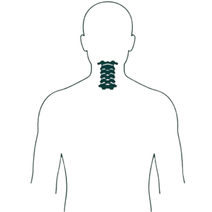 Cervical